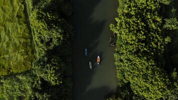 aérien voir, vous pouvez voir une la personne aviron dans une canoë à le bouche de le rivière. photo