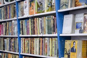 Nouveau Delhi, Inde, février 17 2024 - variété de livres sur étagère à l'intérieur une kiosque à delhi international livre équitable, sélection de livres sur afficher dans annuel livre juste à bharat Mandapam complexe photo