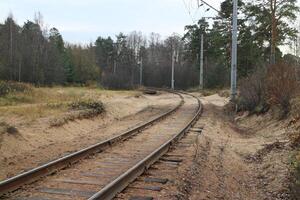chemin de fer, le Piste se tourne, là sont piliers par le route, forêt paysage, de bonne heure l'automne photo