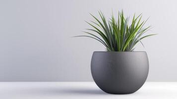 ai généré une grand gris pot avec une plante à l'intérieur. photo