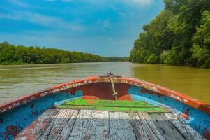 en bois bateau tour par le mangrove forêt écosystème dans Indonésie photo