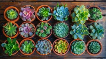 ai généré Haut vue montrant divers plantes succulentes croissance sur une en bois table dans Naturel lumière. photo