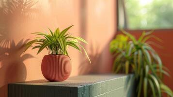 ai généré les plantes dans des pots ajouter verdure et Naturel charme à le zone. photo