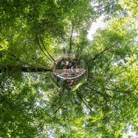 minuscule planète transformation de sphérique panorama 360 degrés. sphérique abstrait aérien vue avec des arbres dans forêt avec maladroit branches dans bleu ciel. courbure de espace. photo