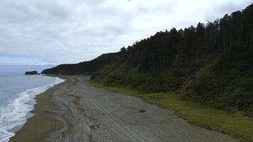 Haut vue de magnifique côte avec dense forêt. agrafe. littoral de mer sur crête de dense vert forêt à horizon. côte de île avec dense vert forêt et montagnes photo