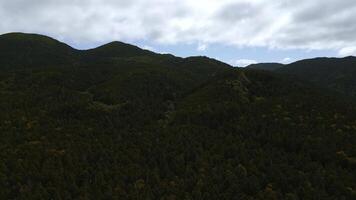 Haut vue de magnifique Montagne paysage avec forêt vert vallée. agrafe. dense végétation de vert forêt dans montagnes. incroyable montagnes avec dense vert forêt avec ses posséder écosystème photo