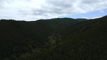 Haut vue de magnifique Montagne paysage avec forêt vert vallée. agrafe. dense végétation de vert forêt dans montagnes. incroyable montagnes avec dense vert forêt avec ses posséder écosystème photo