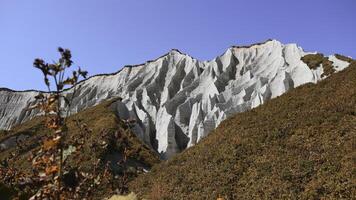 magnifique blanc rochers avec érosion et végétation. agrafe. volcanique blanc rochers avec érosion et incroyable végétation. Naturel attraction avec rocheux paysage photo