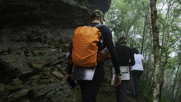 groupe de touristes est en marchant le long de Montagne Piste dans forêt. agrafe. actif touristes marcher le long de Piste dans dense forêt avec rochers. touristes aller sur difficile randonnée route dans forêt avec rochers photo