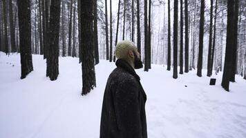 homme perdu dans hiver forêt. médias. fatigué homme est errant dans hiver forêt. solitaire homme est perdu dans forêt et fatigué errant sur hiver journée photo