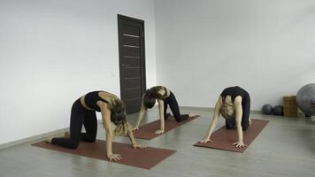 yoga classe avec entraîneur dans studio. médias. débutant est engagé dans yoga studio avec professionnels. yoga Des classes pour beauté et santé photo