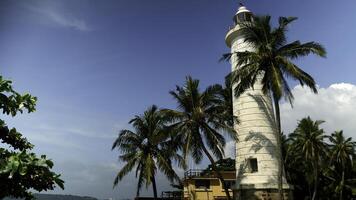 blanc phare sur le côte. action. paume des arbres et magnifique mer rive. photo