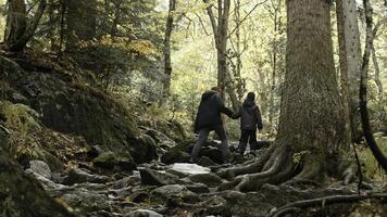 Jeune actif femme et sa fils randonnée, trekking dans le les bois. créatif. l'automne marcher sur pierreux chemin avec arbre racines. photo