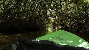 bateau voyage sur tropical rivière parmi emmêlé arbre branches. action. magnifique randonnée voyage le long de rivière dans tropical jungle. photo