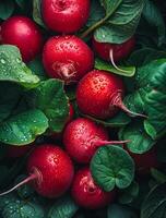 ai généré Frais des radis avec l'eau gouttes sur vert feuilles Contexte photo