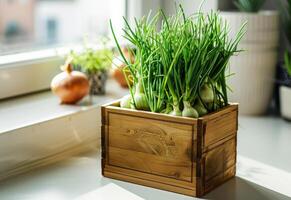 ai généré vert oignons dans en bois boîte sur le rebord de fenêtre photo