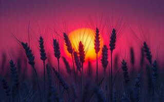 ai généré blé champ le coucher du soleil silhouette photo