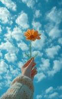 ai généré une main ascenseurs une Célibataire fleur vers une vibrant bleu ciel à pois avec des nuages photo