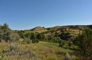 roulant noir collines dans rural Nord Dakota photo