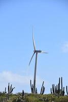 vent énergie avec une Moulin à vent produisant nettoyer énergie photo