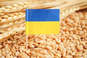 Ukraine drapeau sur grain blé, Commerce exportation et économie concept. photo