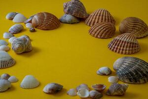 mer coquilles sur Jaune arrière-plan, été vacances, photo