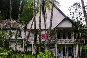 un abandonné maison dans le milieu de le forêt cette regards une peu effrayant photo