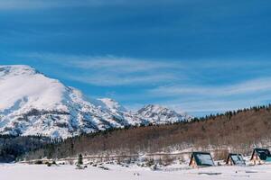 petit Maisons avec triangulaire toits dans une neigeux village dans une Montagne vallée photo