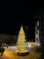 boudva, Monténégro - 25 décembre 2022. Noël arbre décoré avec jouets et lumineux guirlandes des stands sur une piédestal dans le carré photo