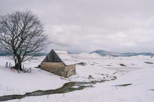 petit maison suivant à une arbre au dessus une courant dans une neigeux Montagne vallée photo