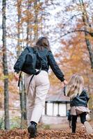 mère et une peu fille marcher rapidement par un l'automne parc, en portant mains. retour vue photo
