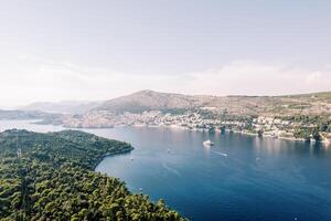 vue au dessus le vert des arbres de une croisière navire voile sur le mer passé le côte de Dubaï. Croatie. drone photo