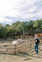 papa avec une peu fille sur le sien épaules des stands près une en bois clôture de une corral avec les chevaux photo