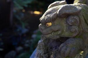 une statue de Gardien chien à Japonais tombeau photo
