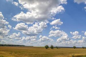une large scène avec magnifique des nuages plus de le champ photo