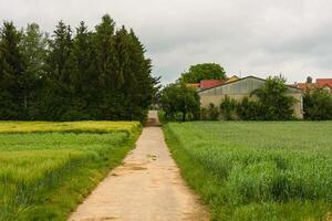 pays route Aller entre vert des champs. nuageux journée dans le village. ferme sur le bord de le des champs. le champ route pistes à le Grange et cultiver. européen rural paysage photo