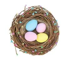 Oeufs de couleur de Pâques dans un nid d'oiseau isolé sur fond blanc
