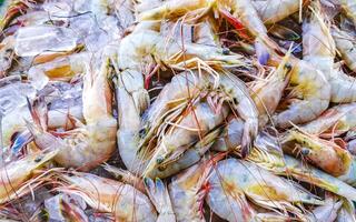 crevettes sur le marché texture modèle dans puerto escondido Mexique. photo