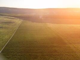 aérien vue sur vert blé champ, route et collines dans campagne. champ de blé soufflant dans le vent sur le coucher du soleil. oreilles de orge surgir dans la nature. agronomie, industrie et nourriture production. photo