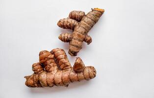 gingembre les racines isolé pour culinaire santé photo