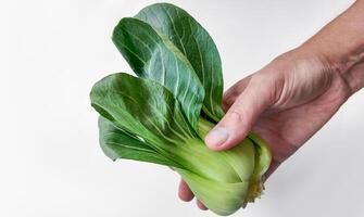 Frais bok choy dans main, en bonne santé vivant concept photo