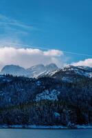 neigeux forêt sur le rive de noir Lac à le pied de le brumeux montagnes. durmitor nationale parc, Monténégro photo