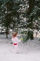 peu fille des stands par une couvert de neige sapin arbre et regards à il. retour vue photo