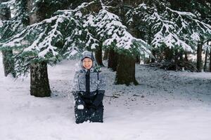 Jeune en riant femme séance sur sa les genoux dans le neige près le Noël arbre en dessous de le chute neige photo