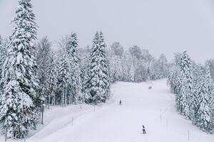 skieurs descendre sur le couvert de neige Montagne pente de le kolasine 1600 ski station balnéaire. Monténégro photo