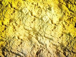 texture de Jaune pierre dans le jardin photo