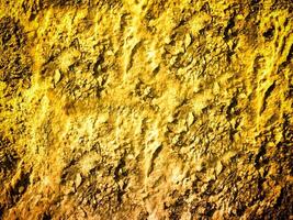 texture de Jaune pierre dans le jardin photo