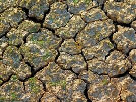 texture du sol dans le jardin photo