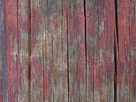 texture du bois à l'extérieur dans le jardin photo