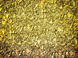 texture de Jaune pierre dans le jardin photo